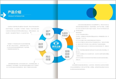 簡(jiǎn)約與高端的藝術(shù)融合 專業(yè)金融與美業(yè)畫冊(cè)設(shè)計(jì)服務(wù)